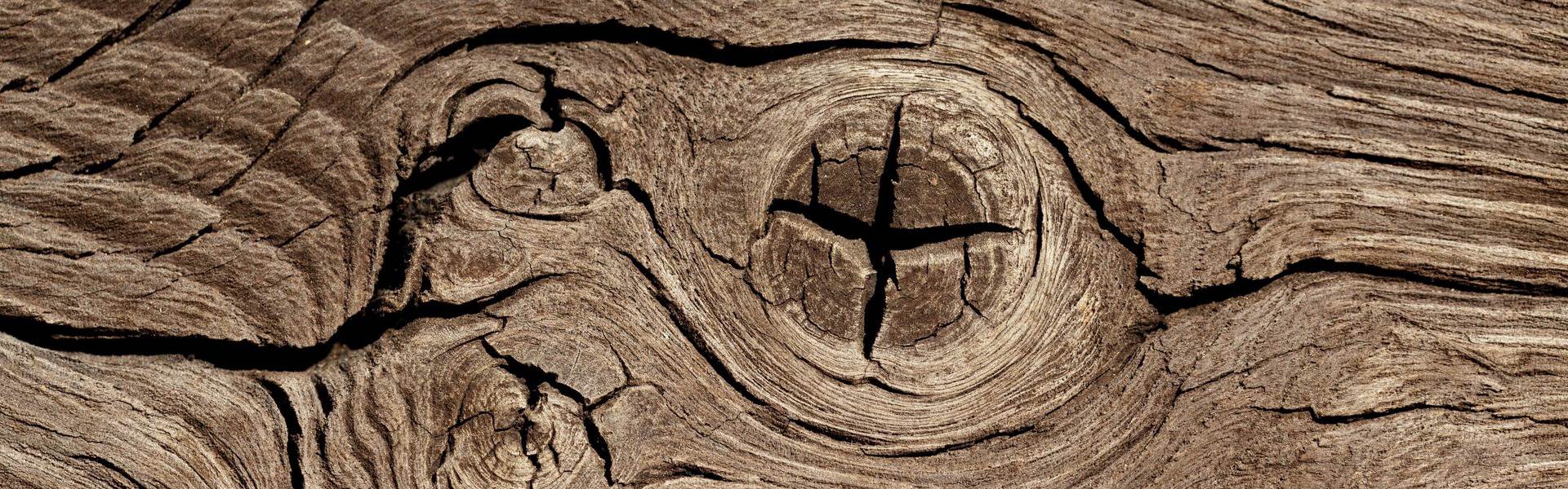 egedeniz-orman-urunleri-header-10