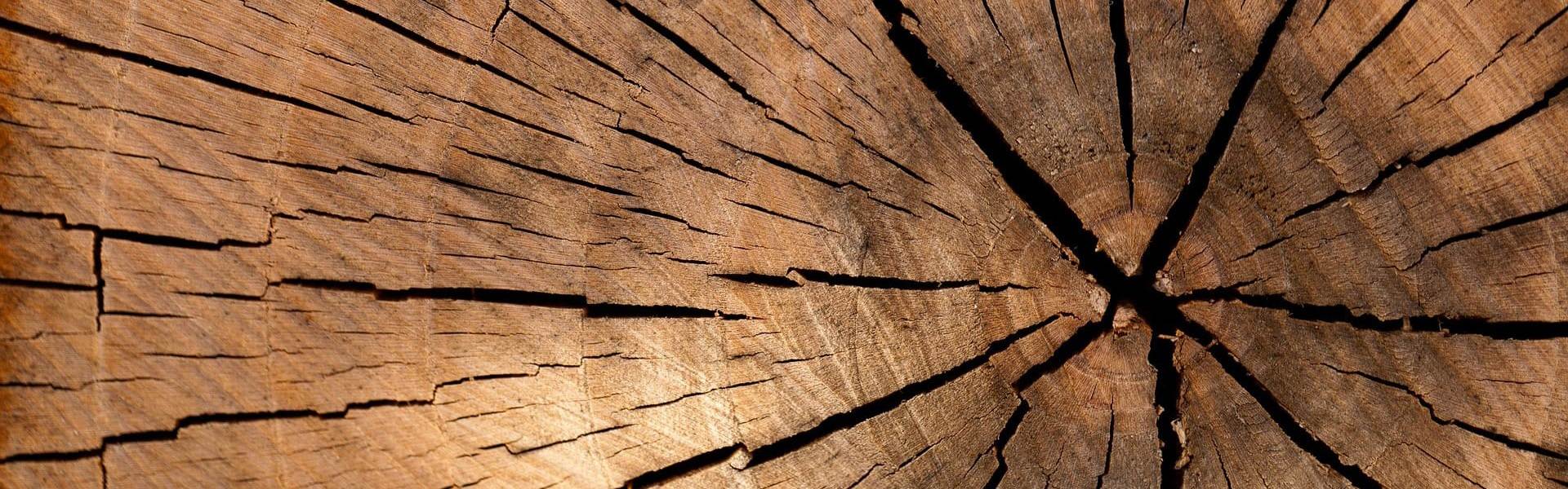 egedeniz-orman-urunleri-header-8