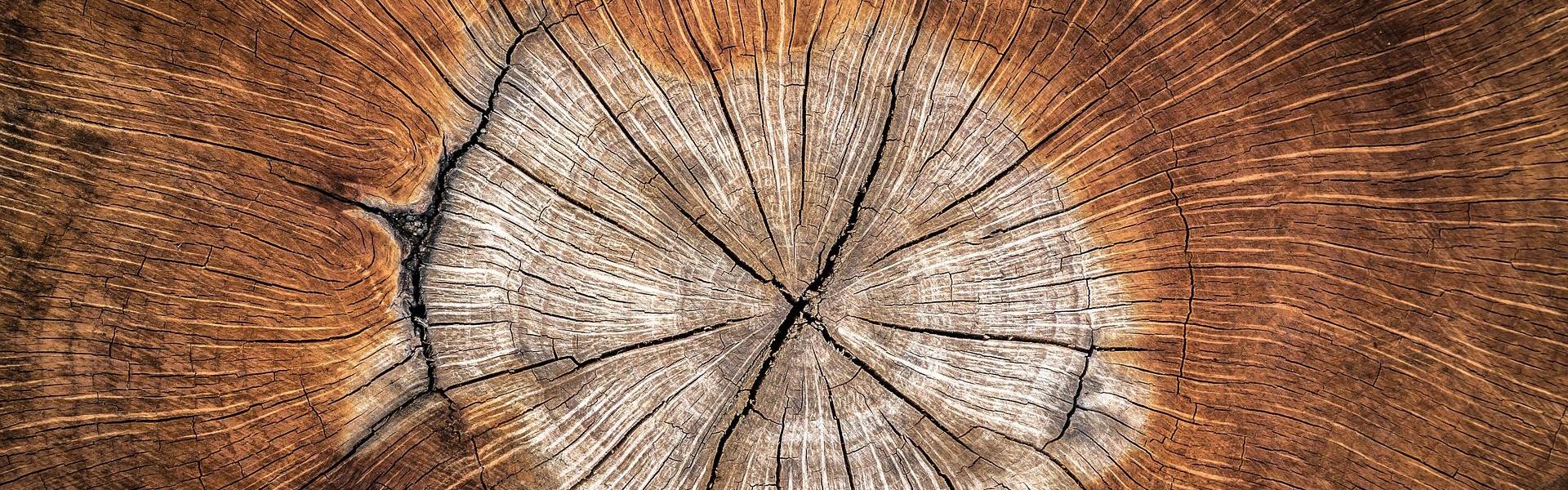 egedeniz-orman-urunleri-header-9